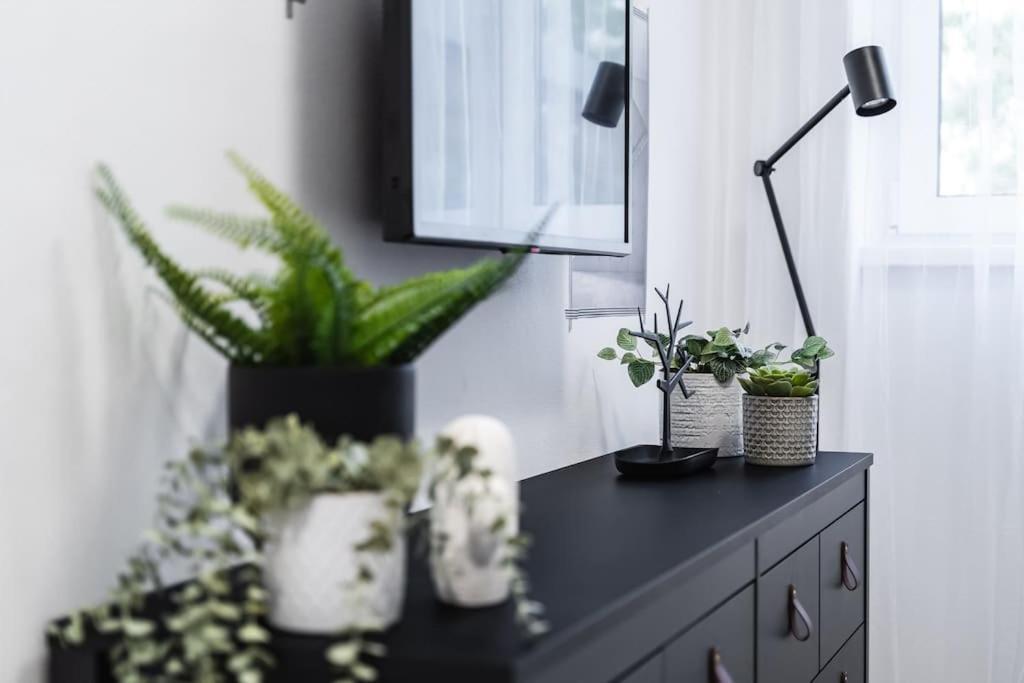 Myslbekova 5 Apartman Ostrava Kültér fotó