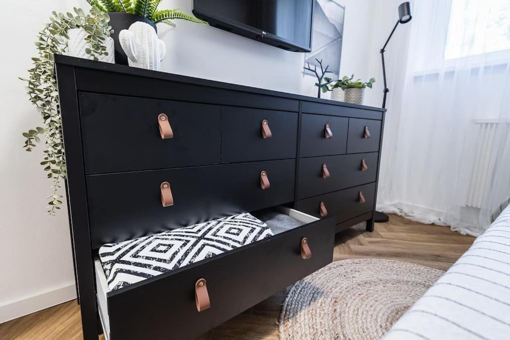 Myslbekova 5 Apartman Ostrava Kültér fotó